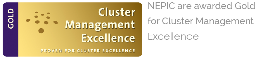 NEPIC Cluster Award