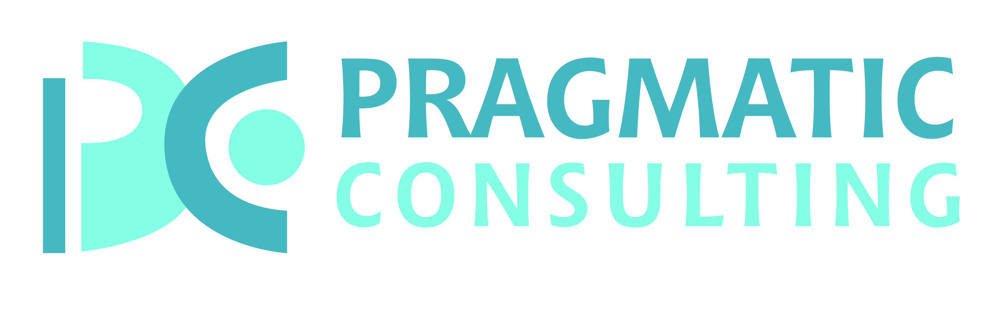 Pragmatic Consulting